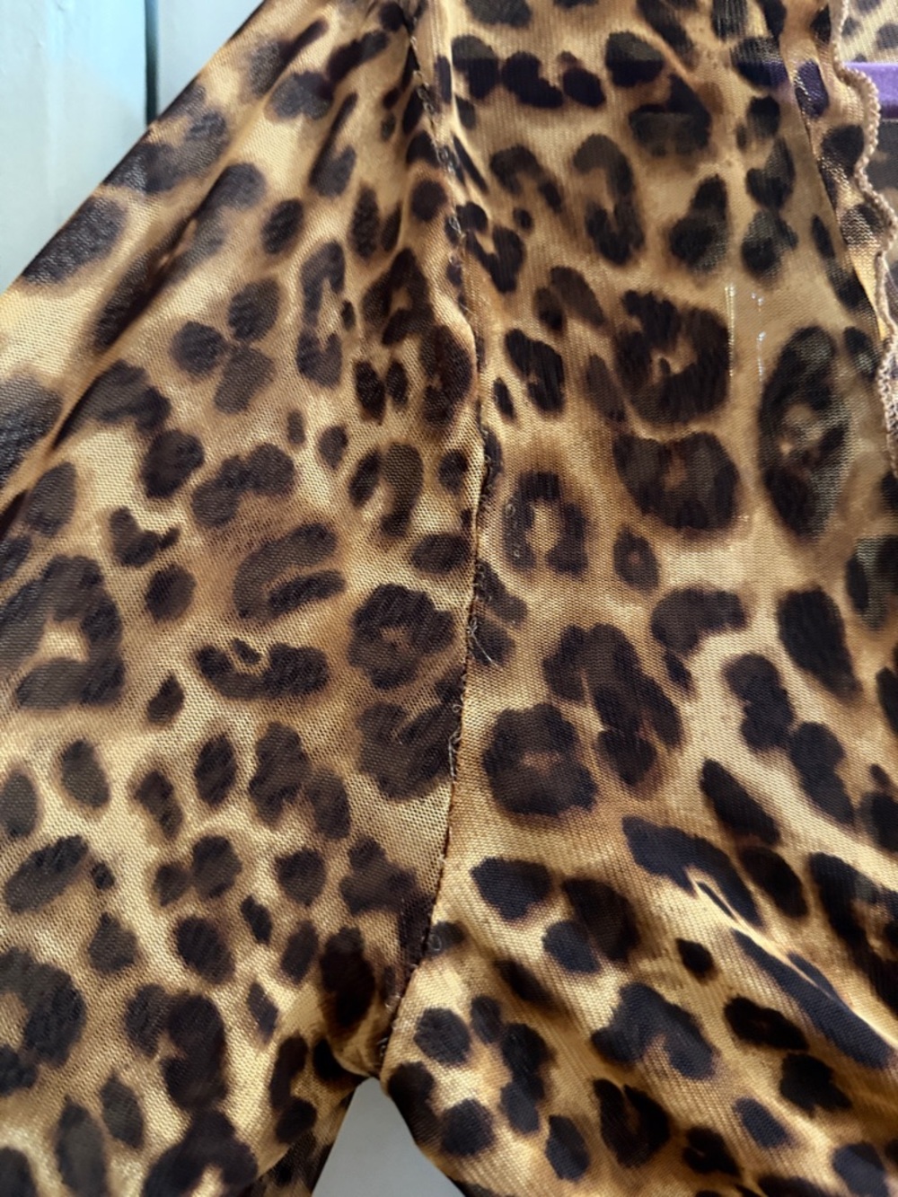 Brown Sheer Leopard Tie-Front Sheer Crop Top with Bell Sleeves - Picture 3 of 9
